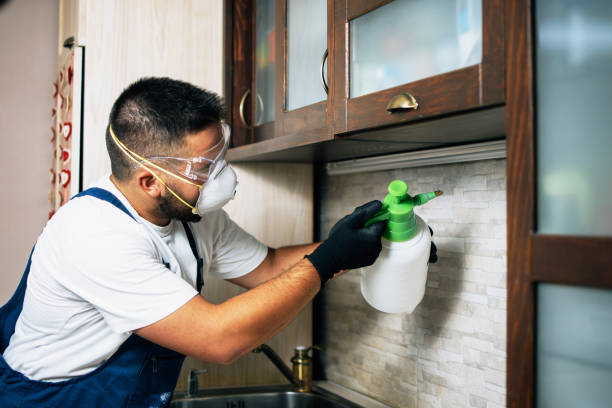 Maquoketa, IA Pest Control Company