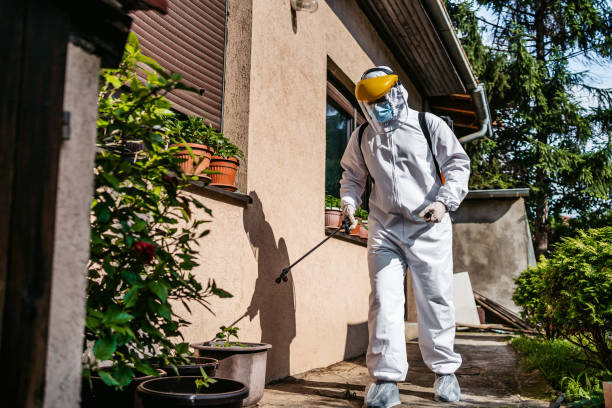 Reliable Maquoketa, IA Pest Control Solutions