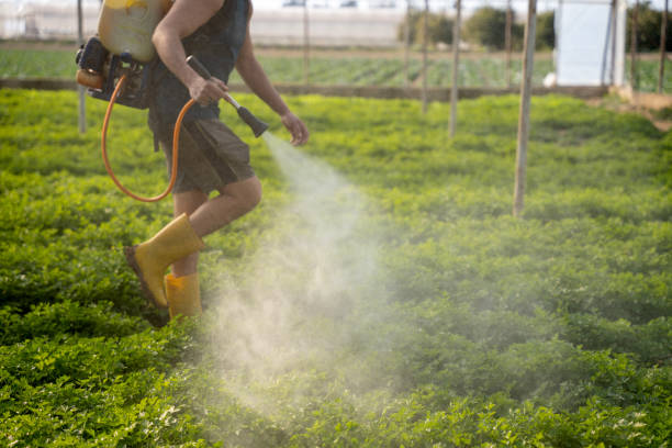 Best Pest Prevention Services  in Maquoketa, IA