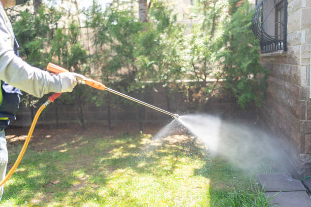 Best Ant Control Services  in Maquoketa, IA