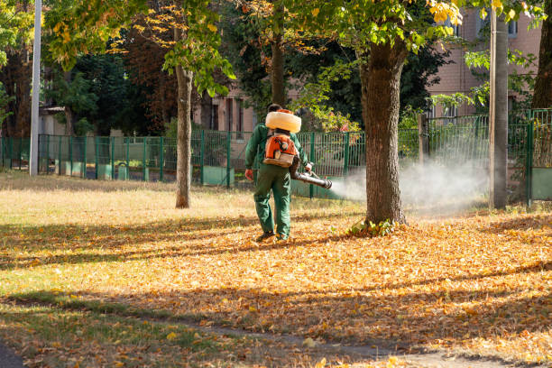 Best Mosquito Control Services  in Maquoketa, IA