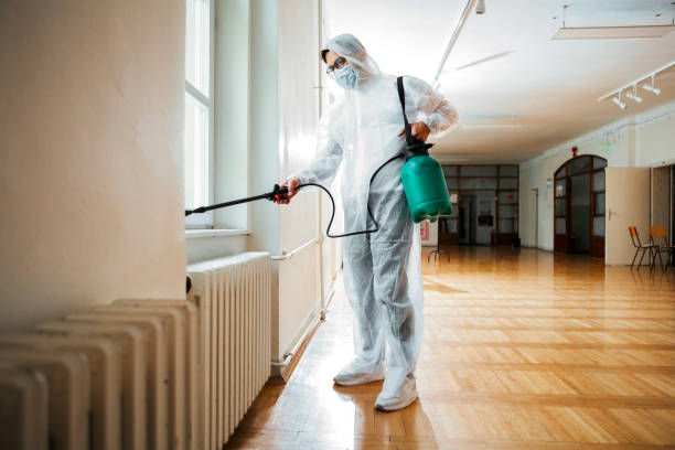 Best Pest Inspection Near Me  in Maquoketa, IA