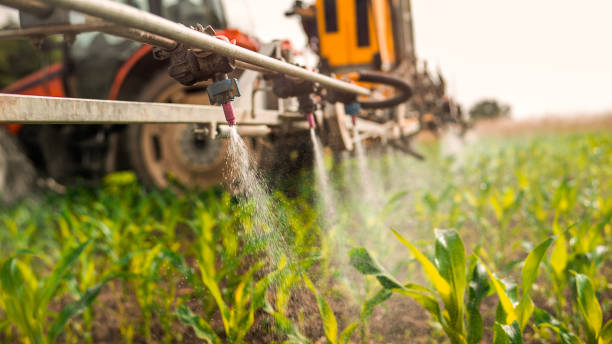 Best Affordable Pest Control Services  in Maquoketa, IA